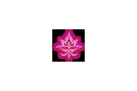 ​魔域神95级神火混乱裂隙副本攻略